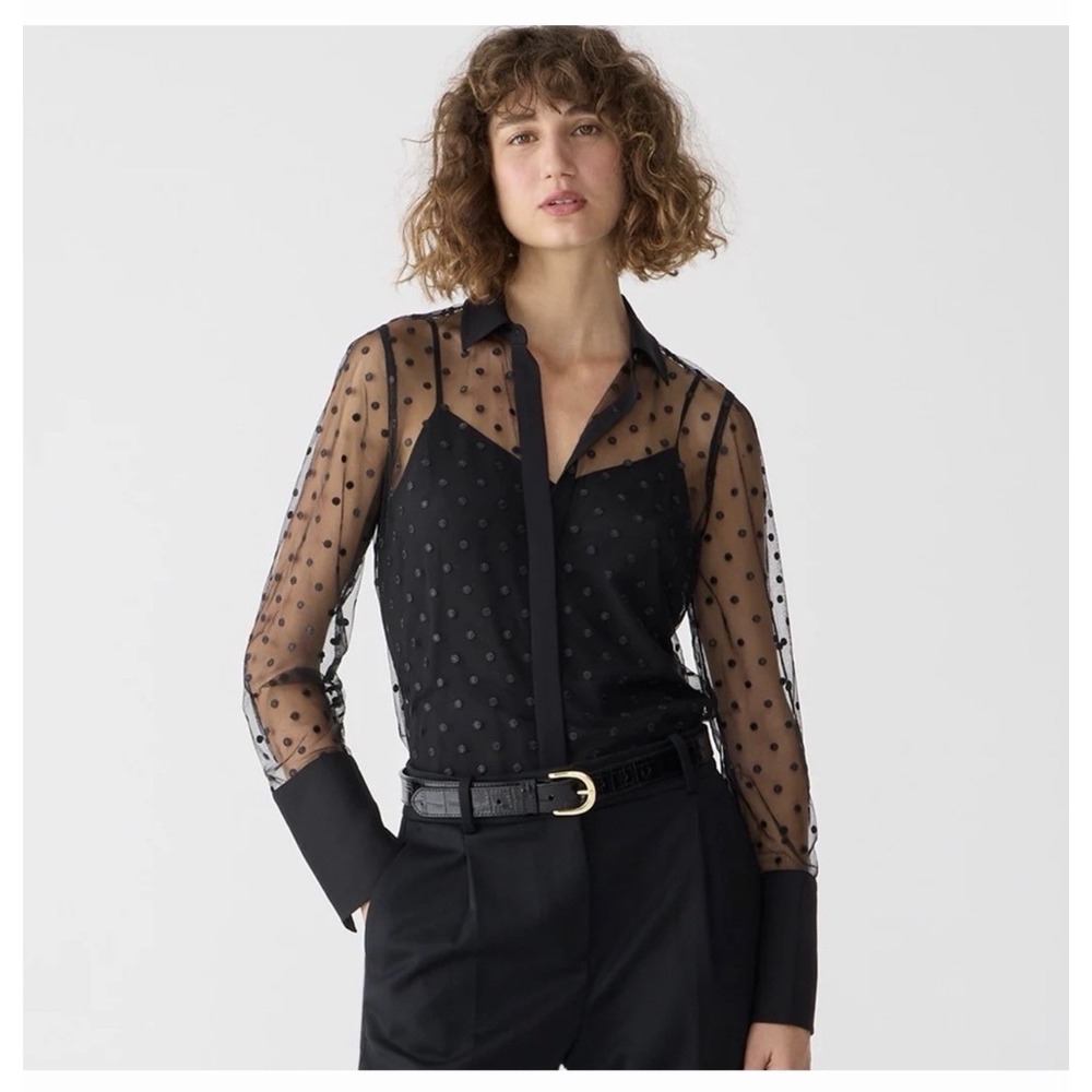 J Crew Sheer Tie Neck Long Sleeve Button Blouse Black Dotted Polka Dot Tulle S - Picture 2 of 16